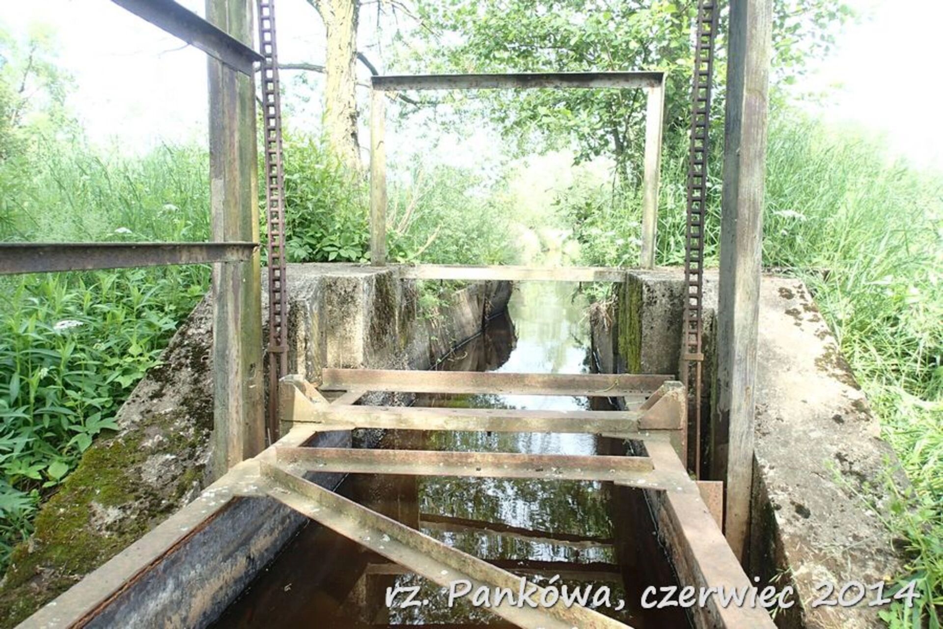 Kajaki Pankówka